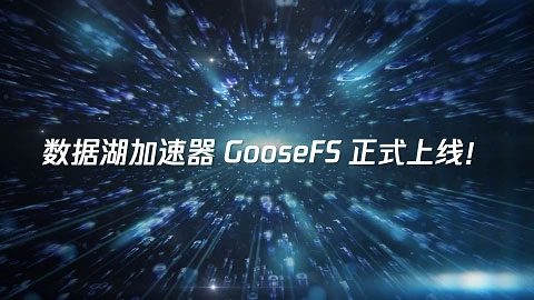 数据湖加速器GooseFS，加速湖上数据分析性能